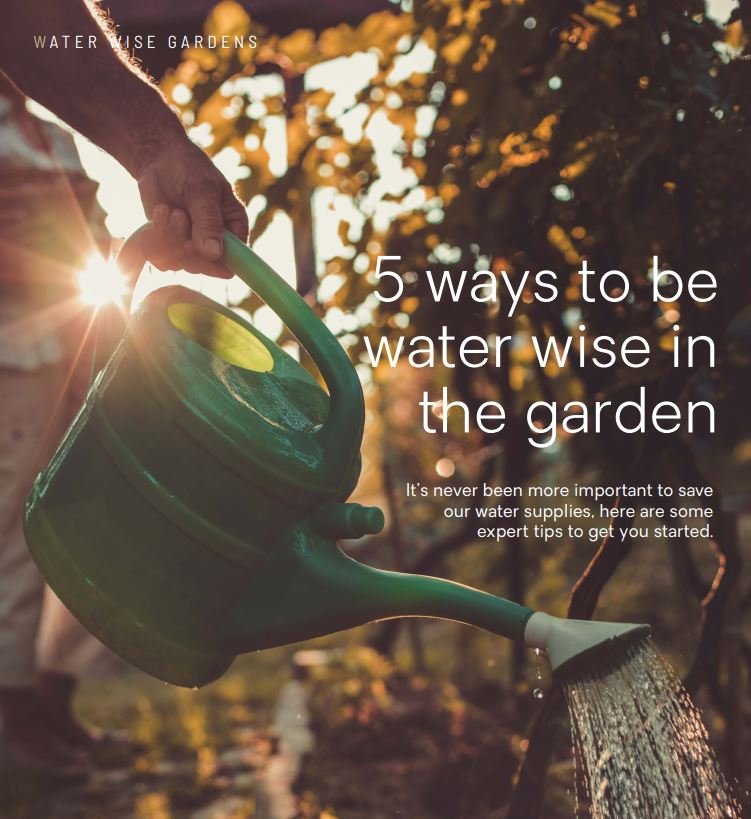 5 ways to be water wise in the garden
